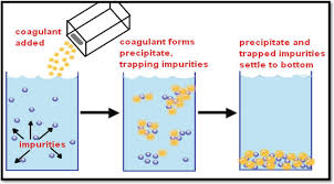 Coagulation